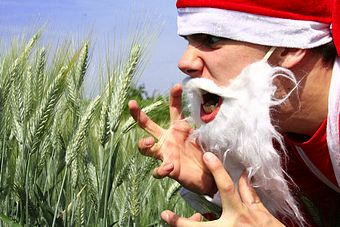Anger and Christmas holidays